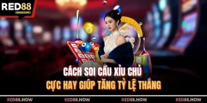 Cách Soi Cầu Xỉu Chủ Cực Hay Giúp Tăng Tỷ Lệ Thắng