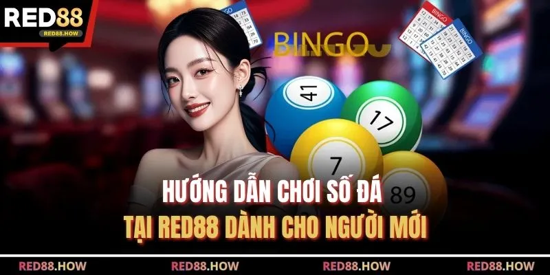 Hướng Dẫn Chơi Số Đá Tại Red88 Dành Cho Người Mới