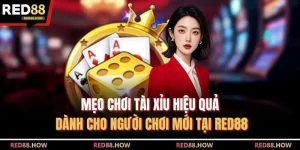 Mẹo Chơi Tài Xỉu Hiệu Quả Dành Cho Người Chơi Mới Tại Red88