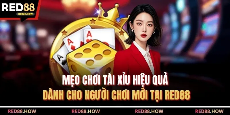 Mẹo Chơi Tài Xỉu Hiệu Quả Dành Cho Người Chơi Mới Tại Red88