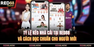Tỷ Lệ Kèo Nhà Cái Tại Red88 Và Cách Đọc Chuẩn Cho Người Mới